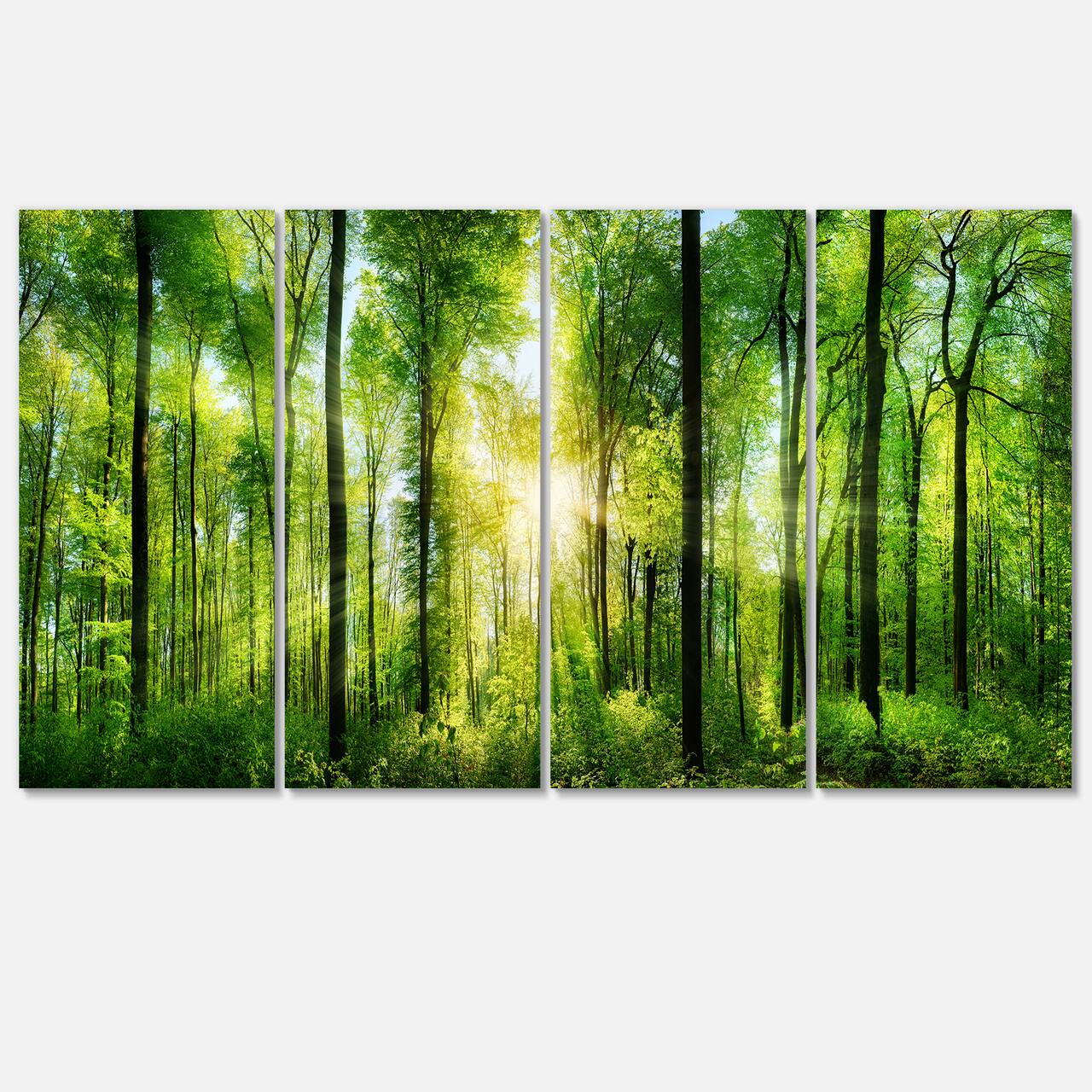 Designart - Forest with Rays of Sun Panorama - Landscape Art Print Canvas